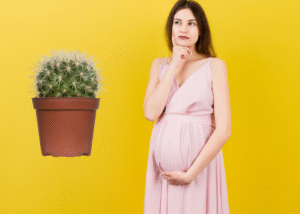 Managing Hemorrhoids Safely During Pregnancy