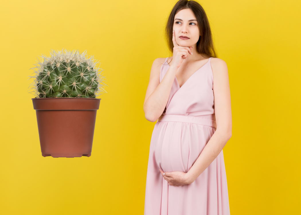 Managing Hemorrhoids Safely During Pregnancy